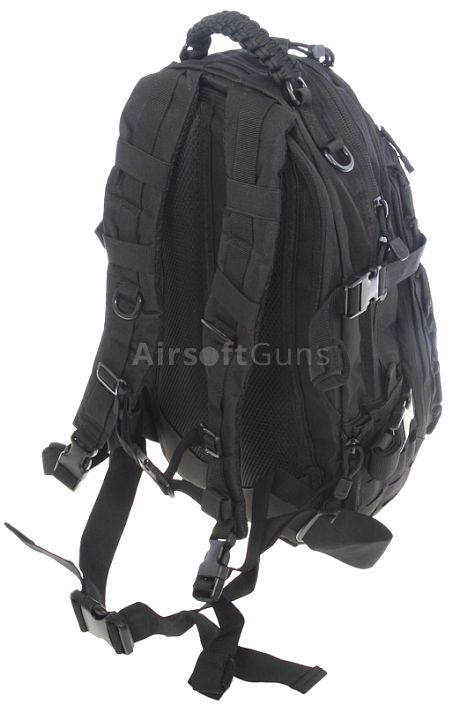 src_VYS_PACK_EGG_BK_5.jpg