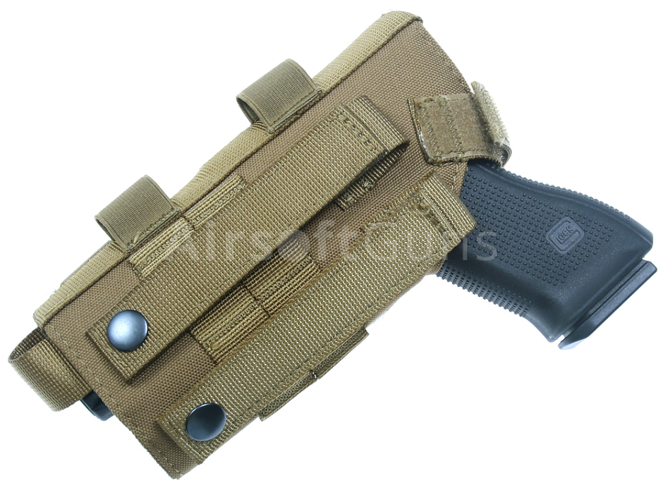 src_ACM_HOLST_MOLLE_TAN_6.JPG