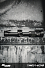 src_EGL_PUS_SIGT_16X24_B_16.jpg
