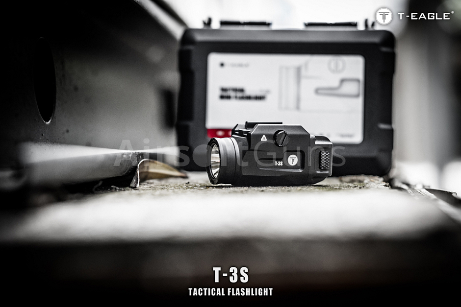 src_EGL_SV_T-3S_B_10.jpg