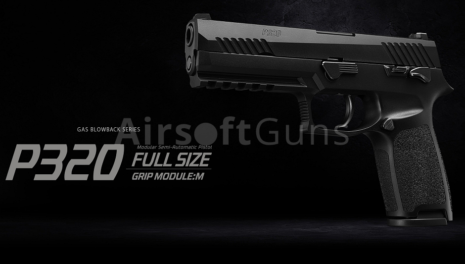src_TM_GAS_P320_FS_B_15.jpg