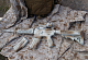 src_Camo Custom M4 SOPMOD, 160 ms, AirsoftGuns [CM.007]_02.jpg