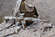 src_Camo Custom M4 SOPMOD, 160 ms, AirsoftGuns [CM.007]_09.jpg