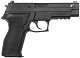 src_TM_GAS_P226_E2_02.jpg