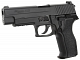 src_TM_GAS_P226_E2_06.jpg