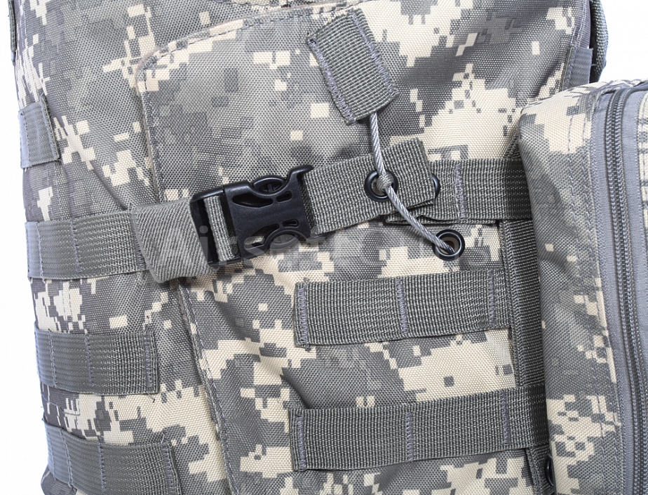 src_ACM_VES_MCA_ACU_4.jpg