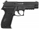 src_TM_GAS_P226_2_1.jpg