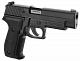 src_TM_GAS_P226_4_1.jpg