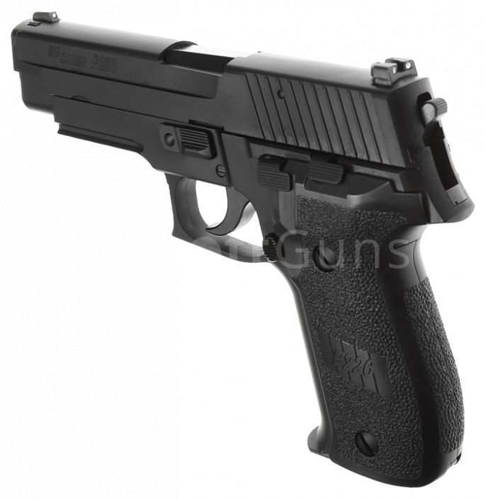 src_TM_GAS_P226_5_1.jpg